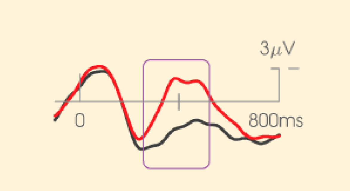 CAB Lab Neuroscience Program Illinois